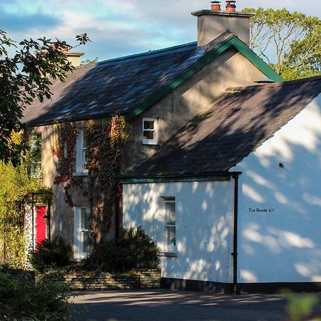 Ballylagan Organic Farm Straid  Экстерьер фото