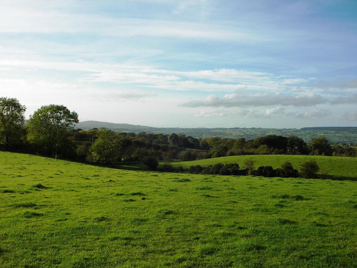 Ballylagan Organic Farm Straid  Экстерьер фото